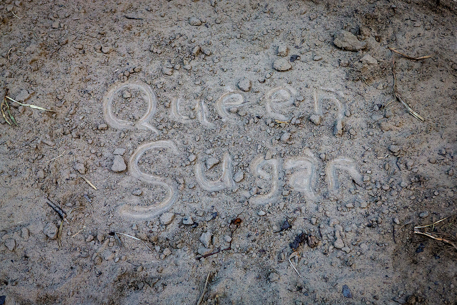 Queen Sugar written in dirt